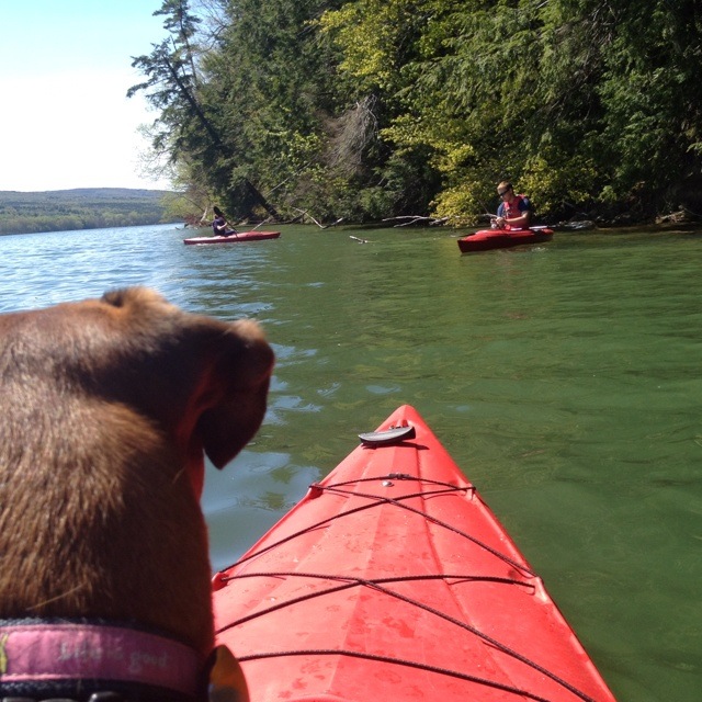 Best Rivers to Kayak in Missouri